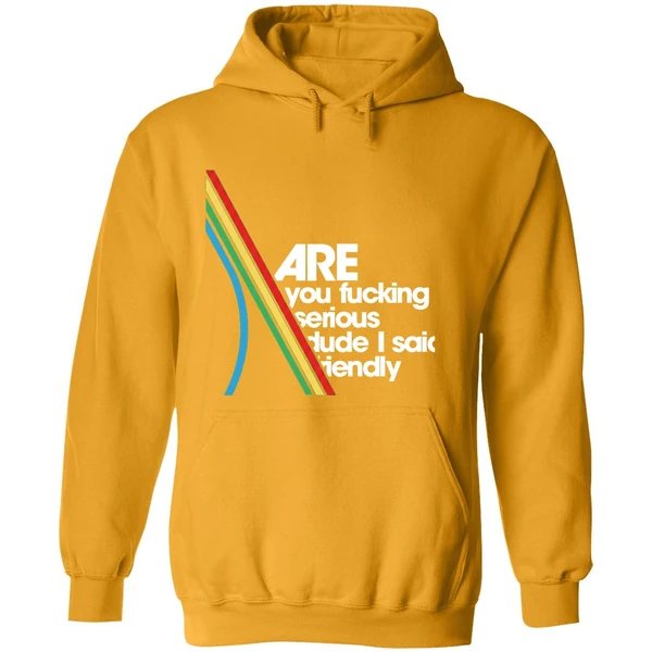 Are You Fucking Serious Dude I Said Friendly Hoodie
