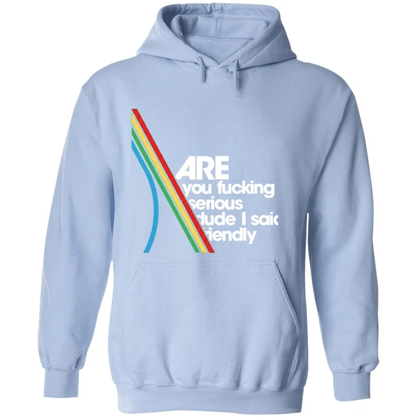 Are You Fucking Serious Dude I Said Friendly Hoodie - Image 4
