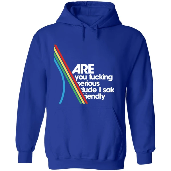 Are You Fucking Serious Dude I Said Friendly Hoodie - Image 7