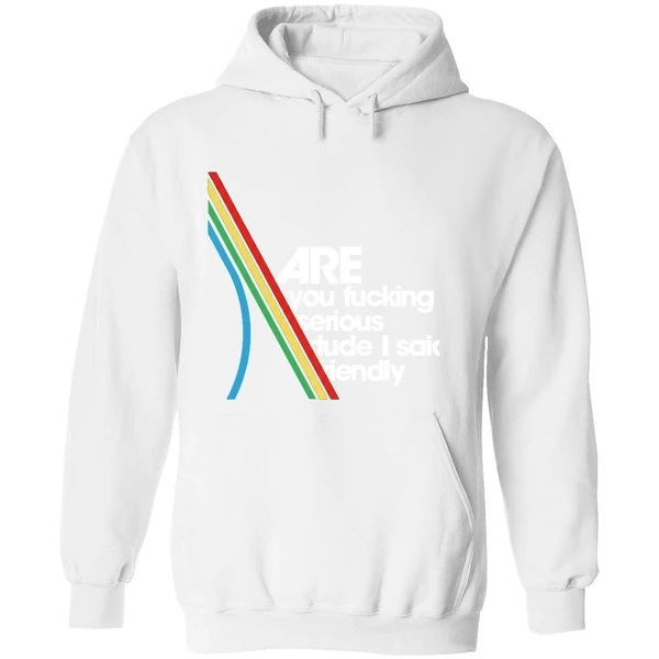 Are You Fucking Serious Dude I Said Friendly Hoodie - Image 8