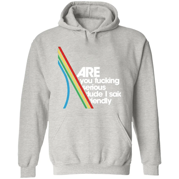 Are You Fucking Serious Dude I Said Friendly Hoodie - Image 9