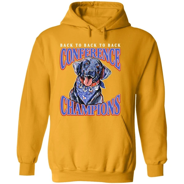 Boise State Broncos Back To Back To Back Conference Champions Hoodie