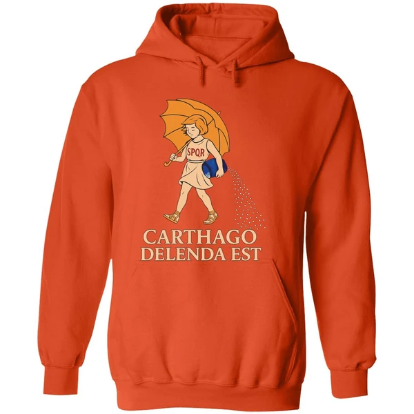 Carthago Delenda Est Style Morton Salt Hoodie - Image 6