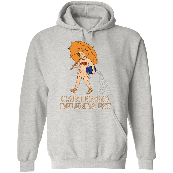 Carthago Delenda Est Style Morton Salt Hoodie - Image 9
