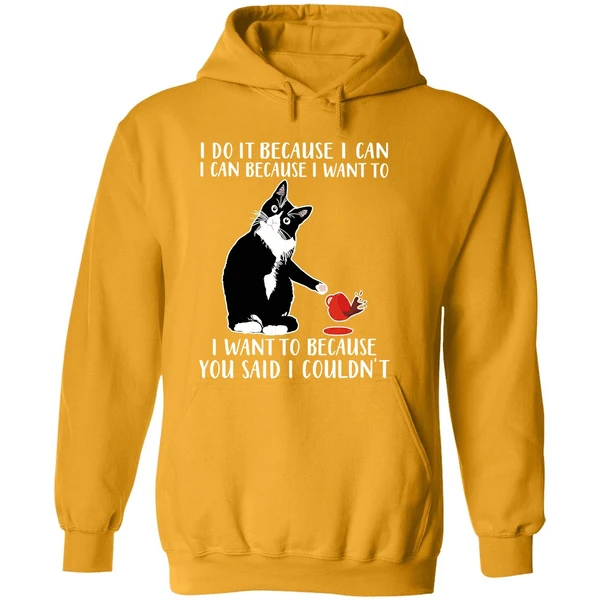 Cat I Do It Because I Can I Can Because I Want To I Want To Because You Hoodie