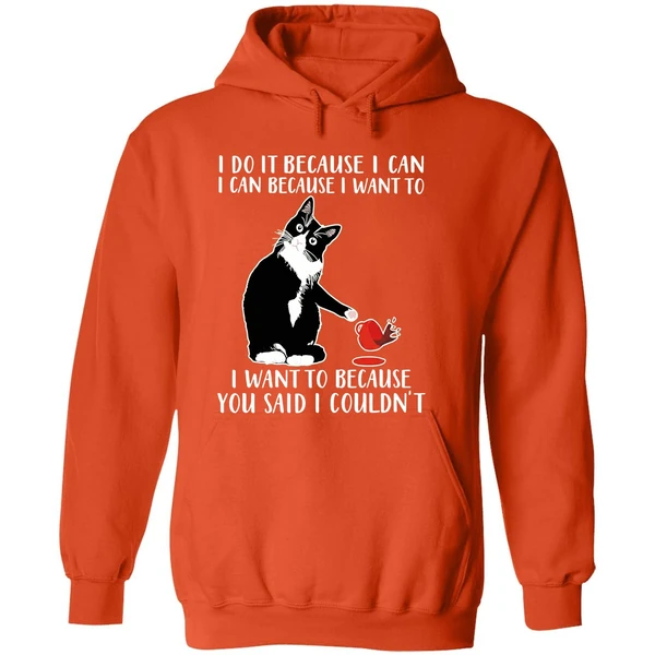 Cat I Do It Because I Can I Can Because I Want To I Want To Because You Hoodie - Image 6