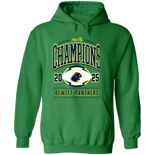 Dewitt Panthers 2025 Mhsaa Football Division 3 Champions Hoodie - Image 2