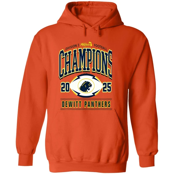 Dewitt Panthers 2025 Mhsaa Football Division 3 Champions Hoodie - Image 6