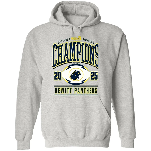 Dewitt Panthers 2025 Mhsaa Football Division 3 Champions Hoodie - Image 9