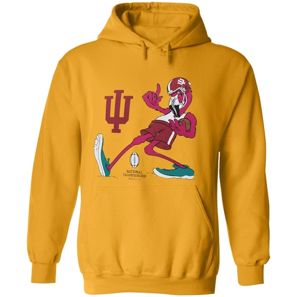 Flamingo Indiana Hoosiers Football National Championship 2026 Hoodie