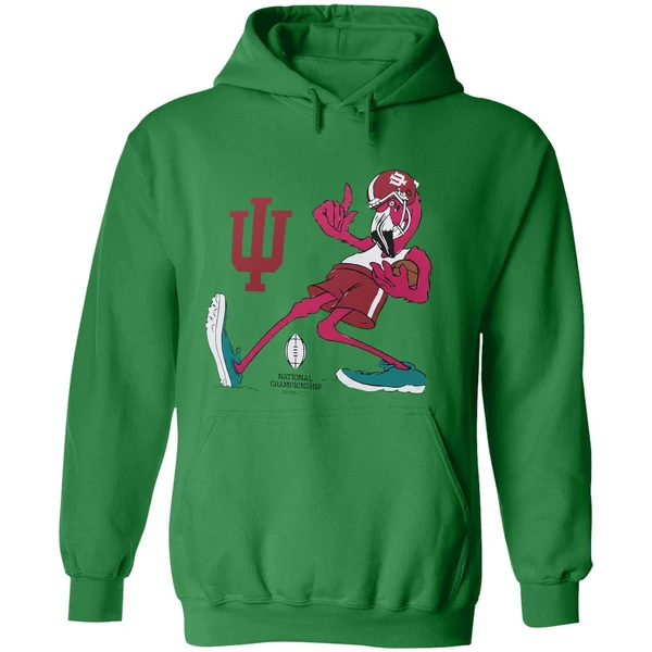 Flamingo Indiana Hoosiers Football National Championship 2026 Hoodie - Image 2