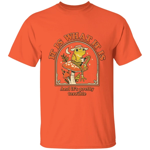 Frog It Is What It Is And Its Pretty Terrible Shirt - Image 3
