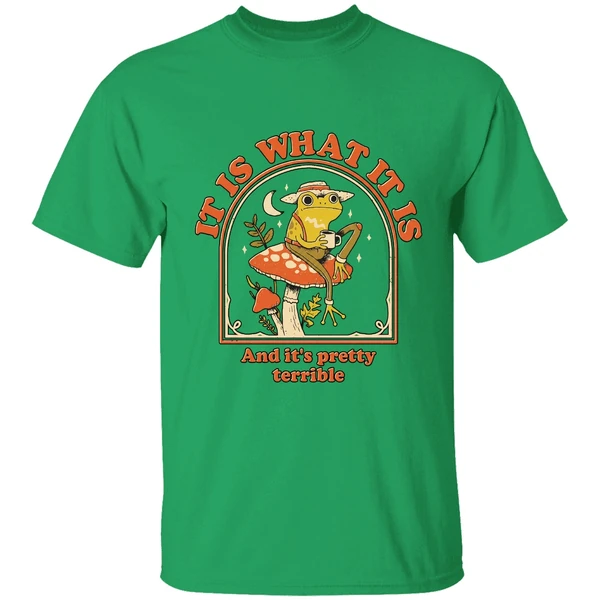 Frog It Is What It Is And Its Pretty Terrible Shirt - Image 8