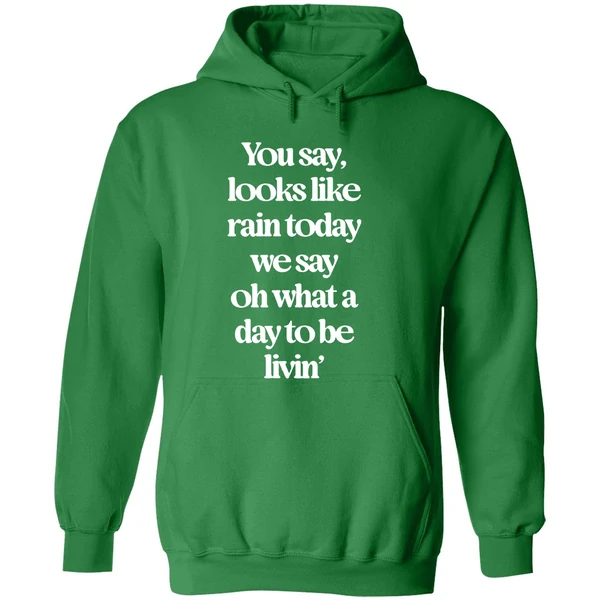 Goose The Band You Say Looks Like Rain Today Hoodie - Image 2