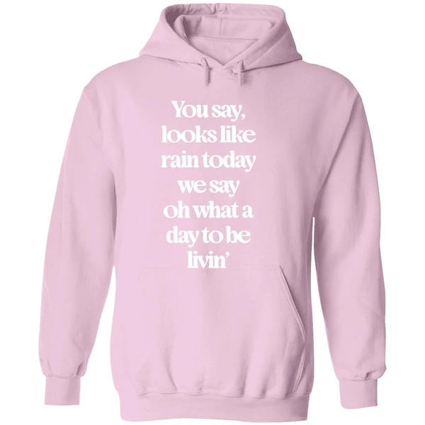 Goose The Band You Say Looks Like Rain Today Hoodie - Image 5