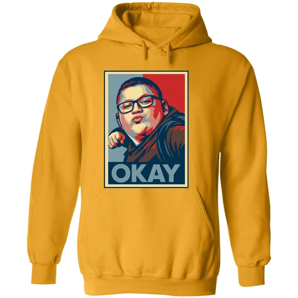 High School Kid Punches Ice Supporter Okay Punch Kid Hoodie