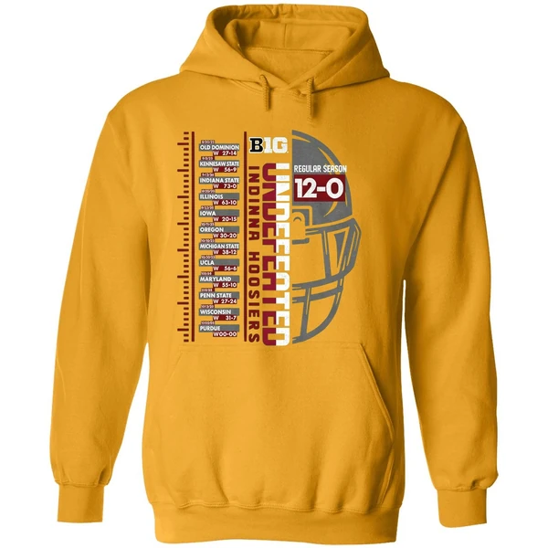 Indiana Hoosiers Big Ten Football Championship 2025 Undefeated Regular Season Hoodie