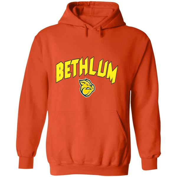 Lehigh Valley Ironpigs Bethlum Hoodie - Image 6