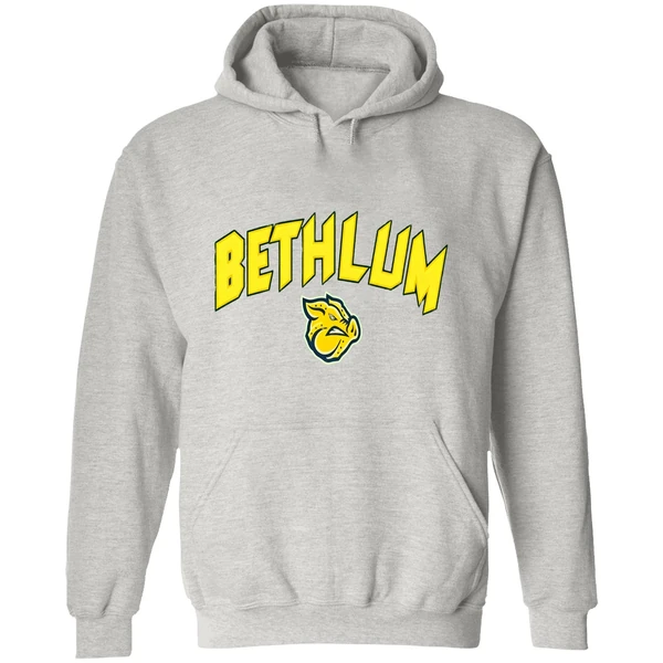 Lehigh Valley Ironpigs Bethlum Hoodie - Image 9