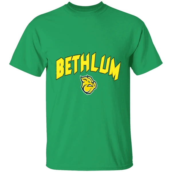 Lehigh Valley Ironpigs Bethlum Shirt - Image 2