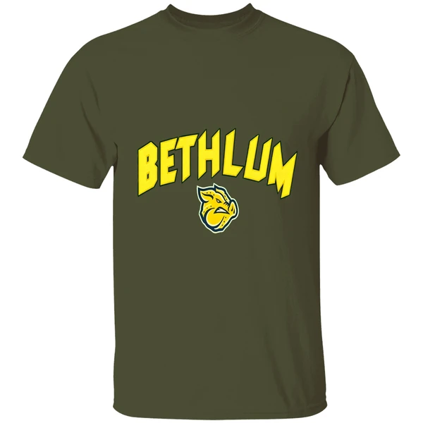 Lehigh Valley Ironpigs Bethlum Shirt - Image 4