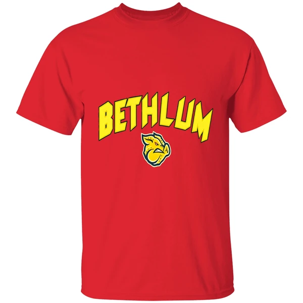 Lehigh Valley Ironpigs Bethlum Shirt - Image 7