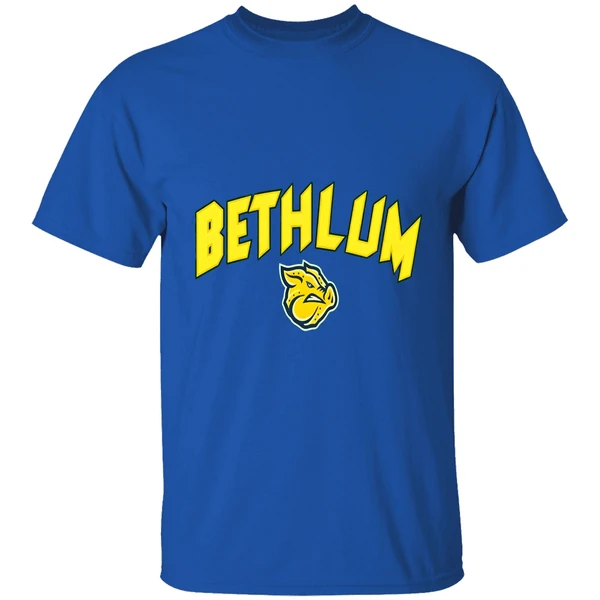 Lehigh Valley Ironpigs Bethlum Shirt - Image 8