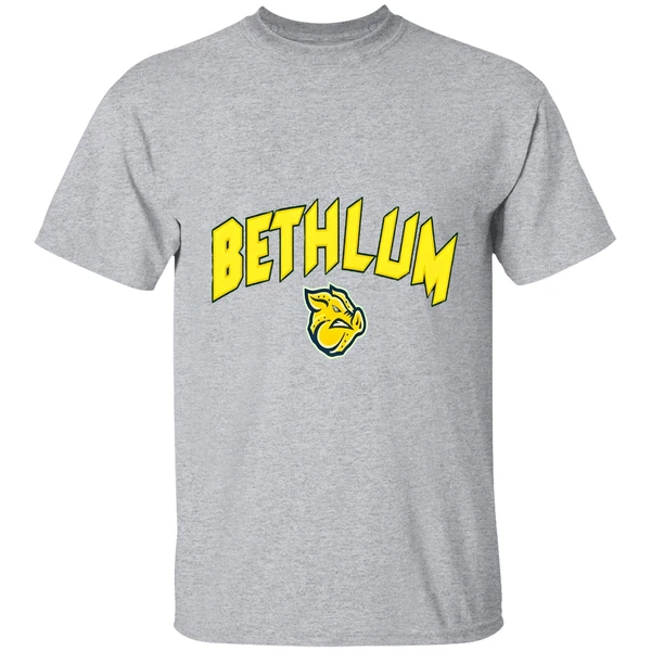 Lehigh Valley Ironpigs Bethlum Shirt - Image 9