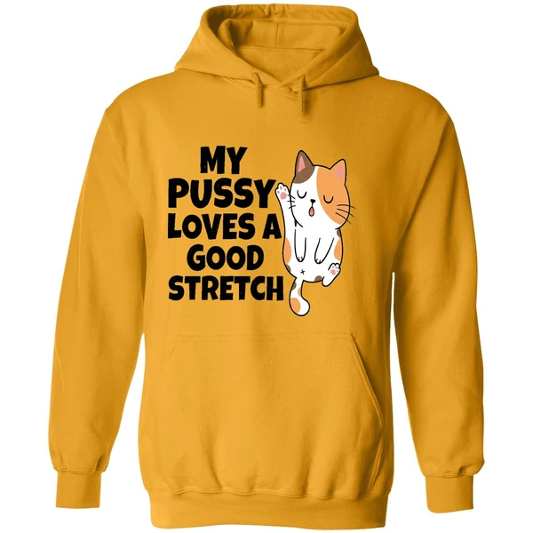 My Pussy Loves A Good Stretch Sexual Fantasies Hoodie
