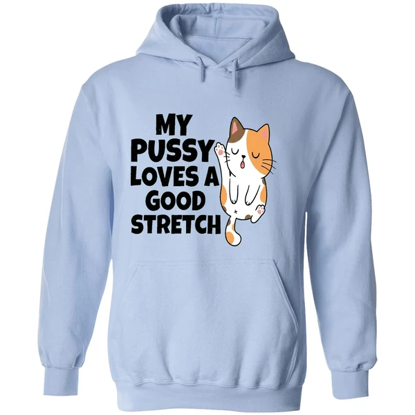 My Pussy Loves A Good Stretch Sexual Fantasies Hoodie - Image 4