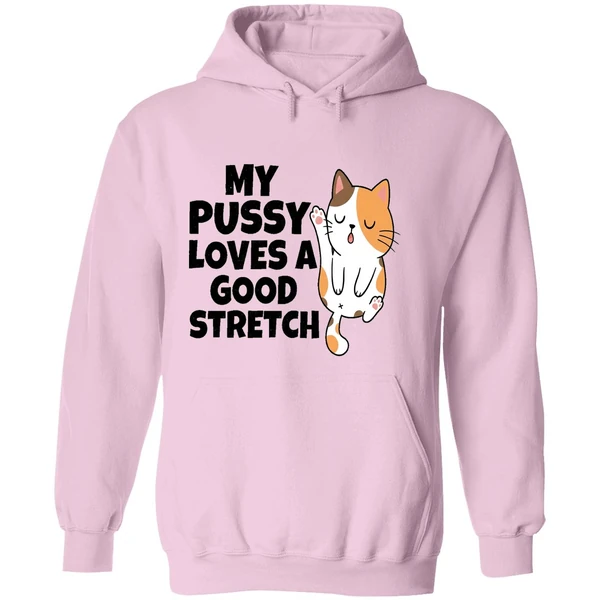 My Pussy Loves A Good Stretch Sexual Fantasies Hoodie - Image 5
