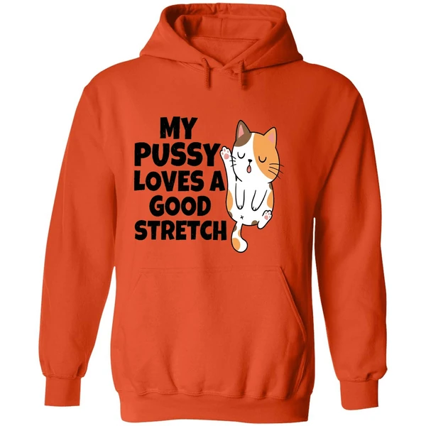My Pussy Loves A Good Stretch Sexual Fantasies Hoodie - Image 6