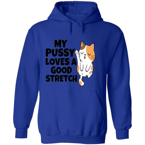 My Pussy Loves A Good Stretch Sexual Fantasies Hoodie - Image 7