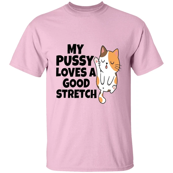 My Pussy Loves A Good Stretch Sexual Fantasies Shirt - Image 2