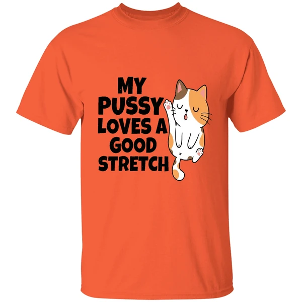 My Pussy Loves A Good Stretch Sexual Fantasies Shirt - Image 3