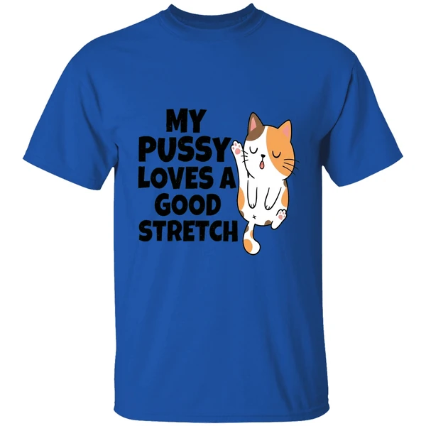 My Pussy Loves A Good Stretch Sexual Fantasies Shirt - Image 5
