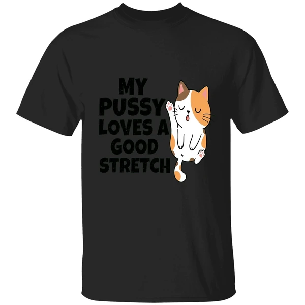 My Pussy Loves A Good Stretch Sexual Fantasies Shirt - Image 7