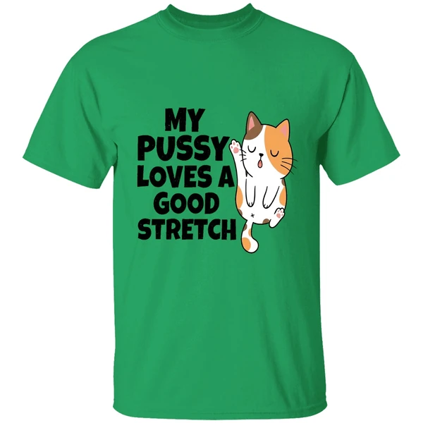 My Pussy Loves A Good Stretch Sexual Fantasies Shirt - Image 8