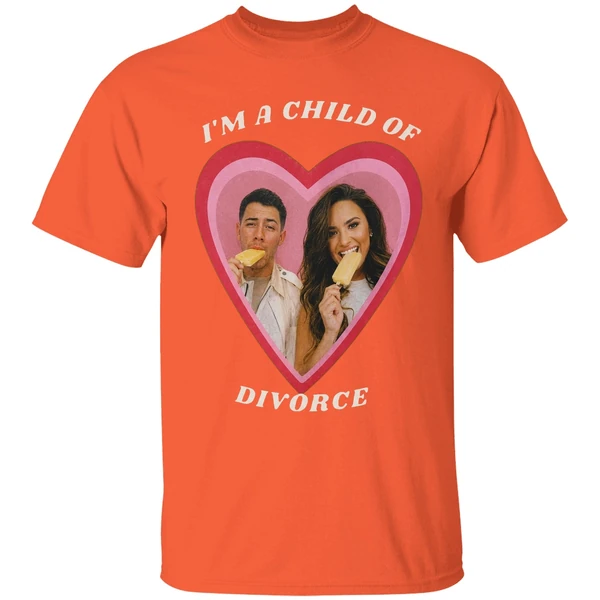 Nick Jonas Demi Lovato Im A Child Of Divorce Shirt - Image 6