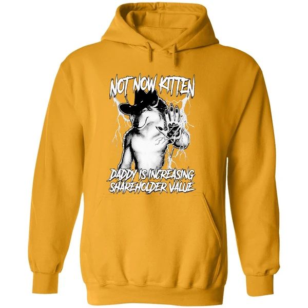 Not Now Kitten Daddy Is Increasing Shareholder Value Hoodie
