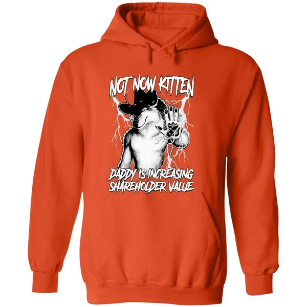Not Now Kitten Daddy Is Increasing Shareholder Value Hoodie - Image 6