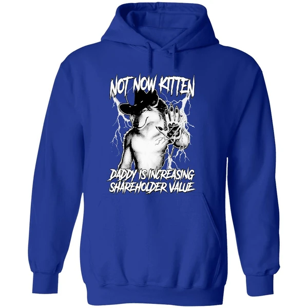 Not Now Kitten Daddy Is Increasing Shareholder Value Hoodie - Image 7