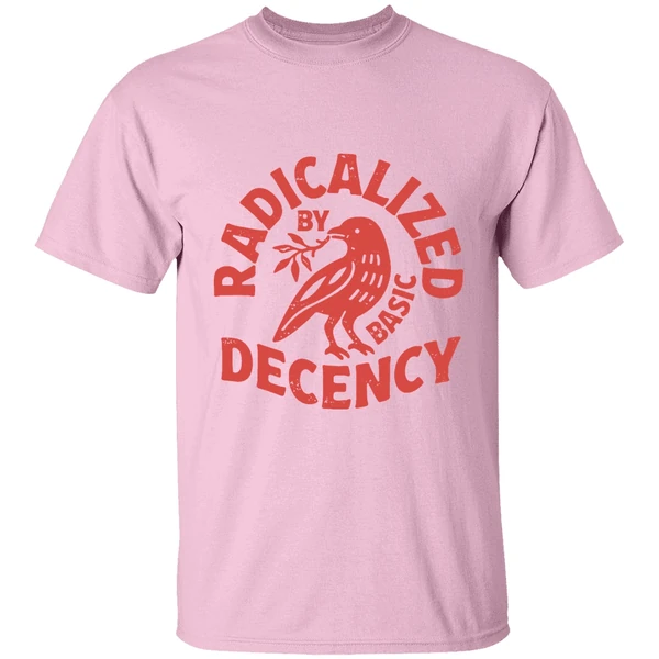 radicalized by basic decency shirt lightpink