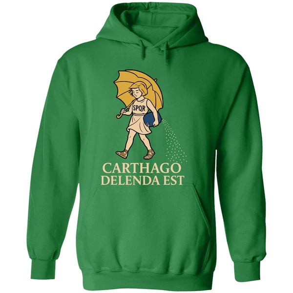 Salty Girl Carthago Delenda Est Hoodie - Image 2
