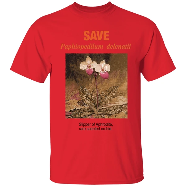 Save Paphiopedilum Delenatii Slipper Of Aphrodite Rare Scented Orchid Shirt - Image 4