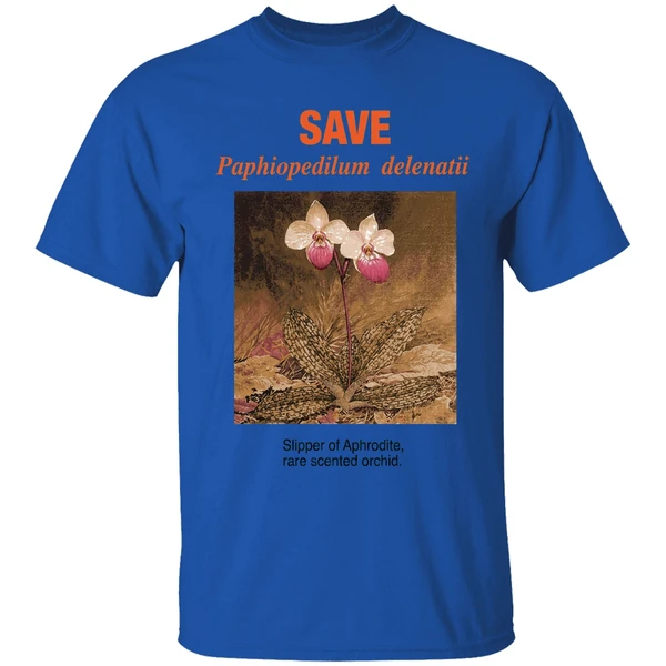 save paphiopedilum delenatii slipper of aphrodite rare scented orchid shirt royalblue