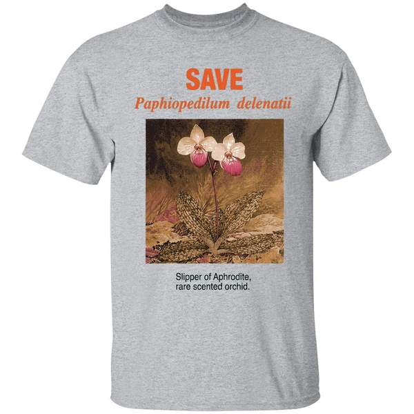 Save Paphiopedilum Delenatii Slipper Of Aphrodite Rare Scented Orchid Shirt - Image 6