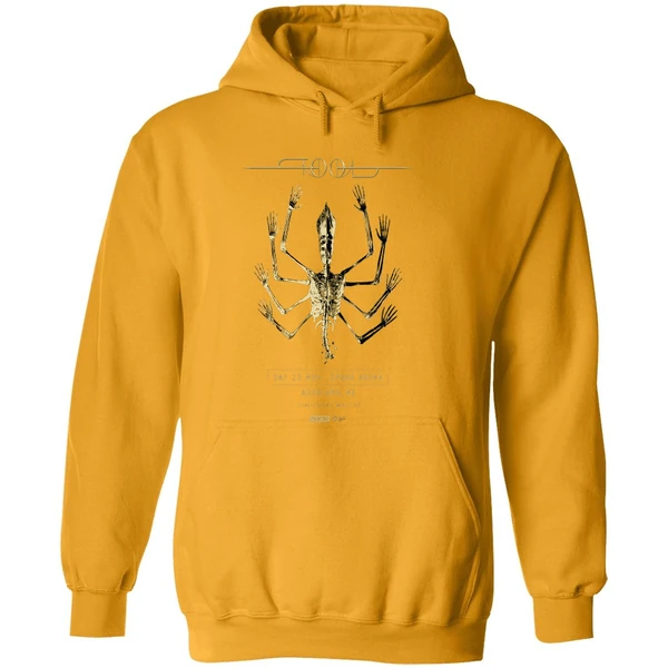 Tool Tour 2025 Spark Arena Auckland Nz Poster Hoodie