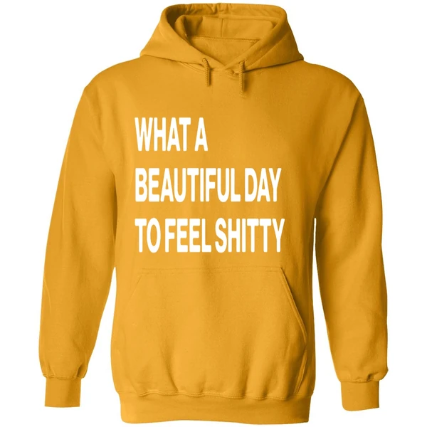 What A Beautiful Day To Feel Shitty Hoodie