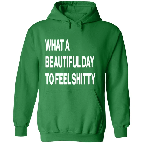 What A Beautiful Day To Feel Shitty Hoodie - Image 2